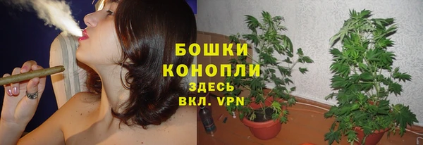 бутират Корсаков